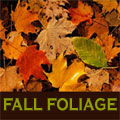 CT Fall Foliage Drives