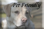 Pet Friendly, Pet Friendly Lodging, Conn. Pet Friendly lodging, Connecticut Pet Friendly Hotels, CT Pet friendly inns, Connecticut Pet Friendly Lodging