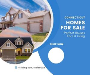 CT Realtors Connecticut Homes For Sale 
